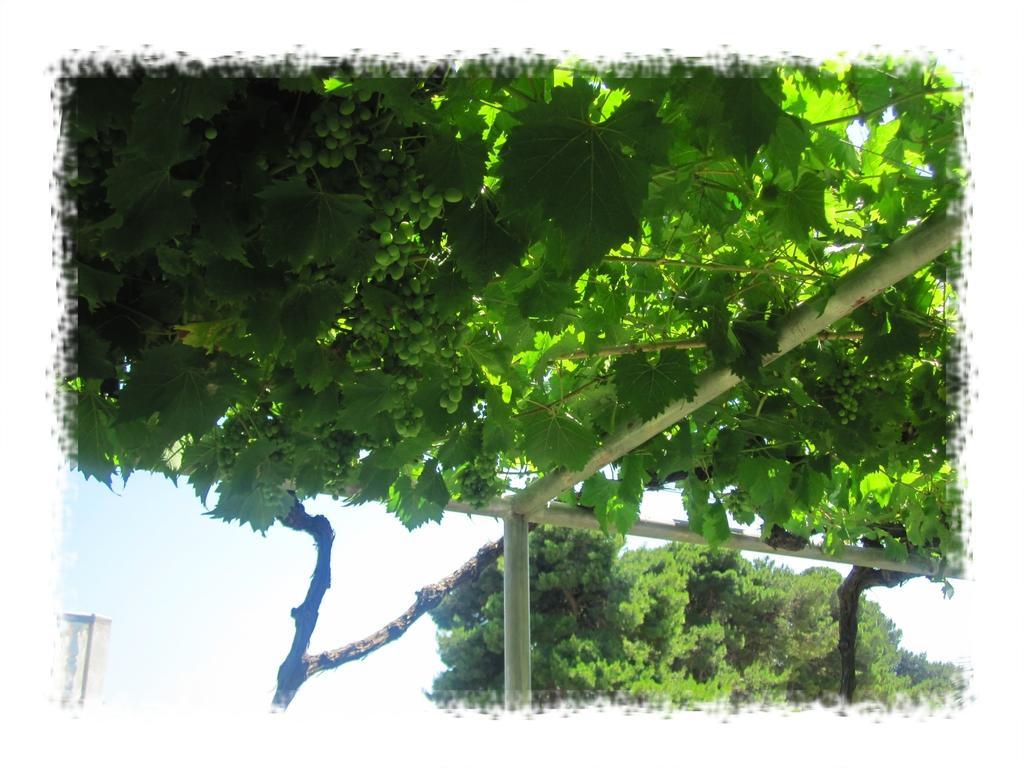 Hostel Oktarin Kaštela Εξωτερικό φωτογραφία